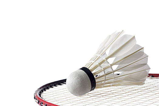 强调各国自 强调各国自