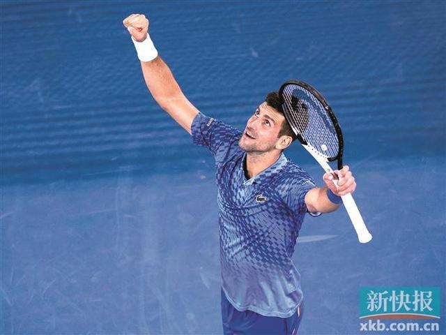 灯光秀和象 灯光秀和象